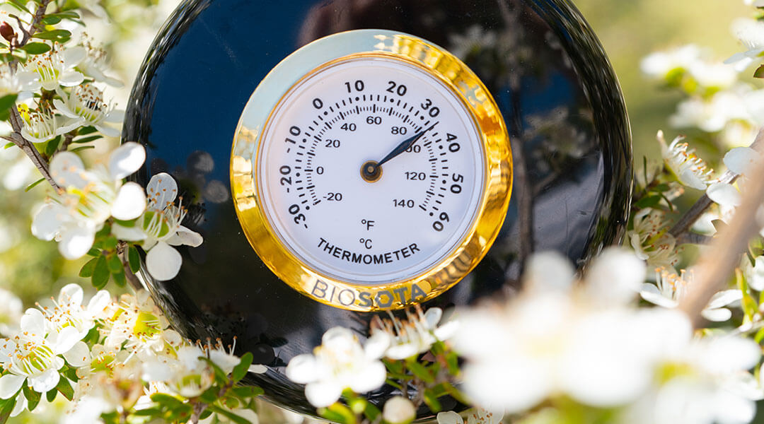 Manuka Honey Heat Stability: What MGO Research Really Shows