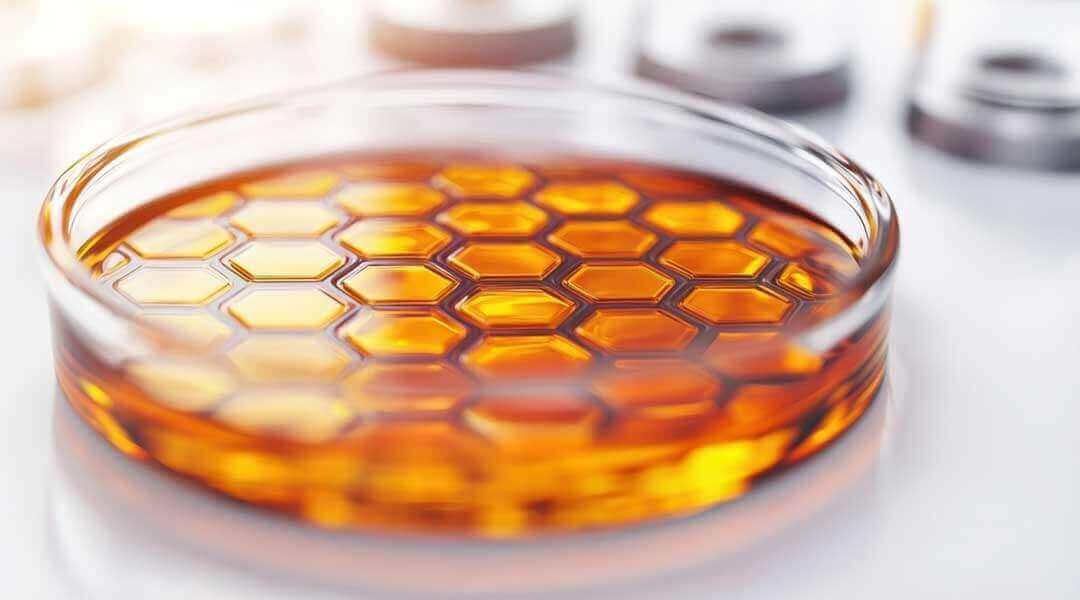 Manuka Honey Kills Bacteria: How MGO Works Without Resistance