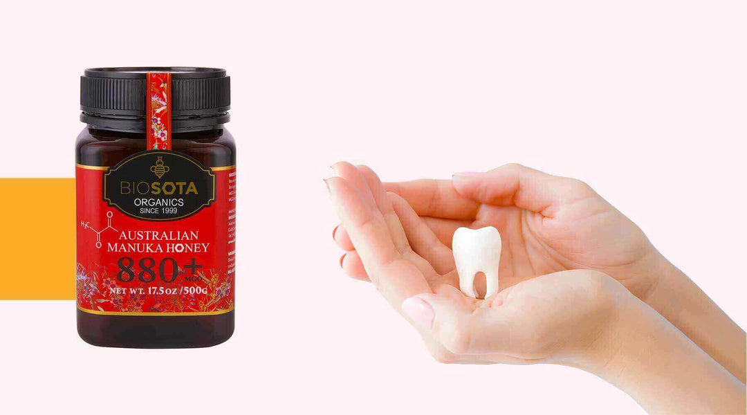 Manuka Honey for Oral Health: Benefits for Teeth and Gums