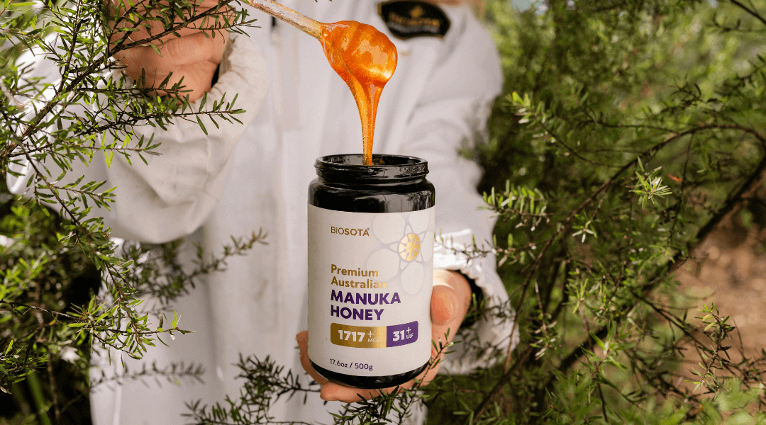 Australian Manuka honey jar with MGO 550+ rating and native Leptospermum flowers