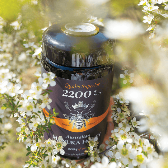 World's strongest Manuka Honey MGO 2200+