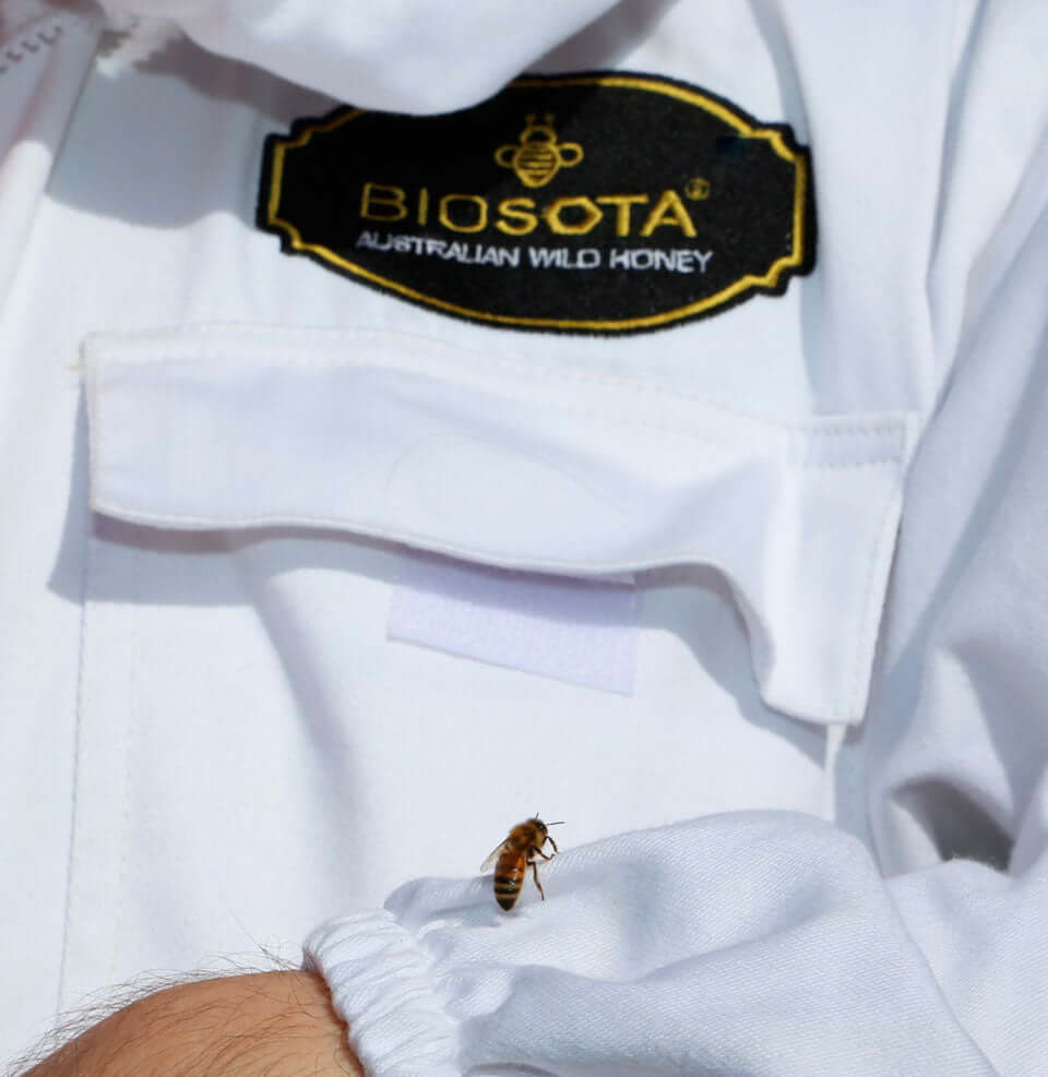 biosota organics manuka honey producer